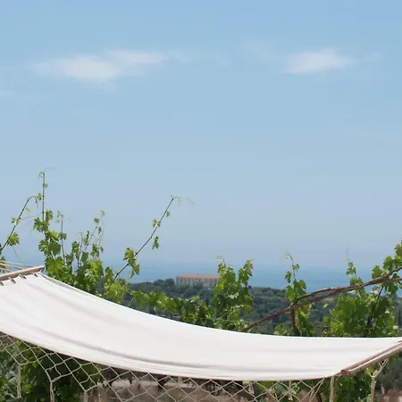 База отдыха Fiora Villas *